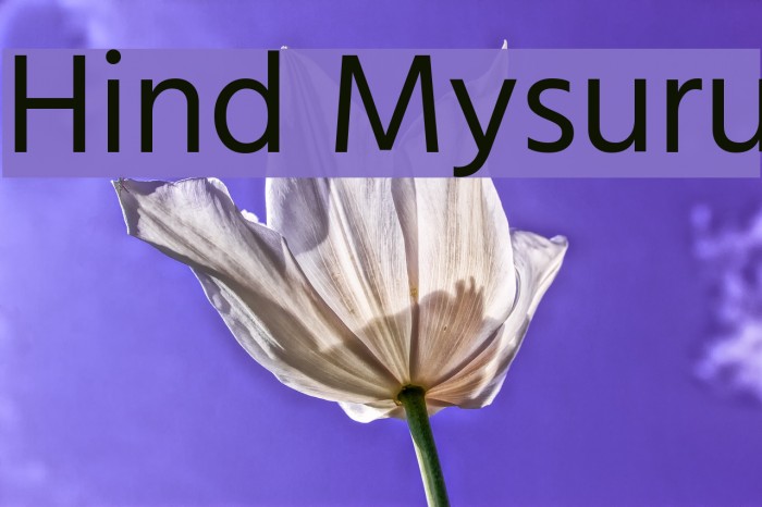 Hind Mysuru Font examples