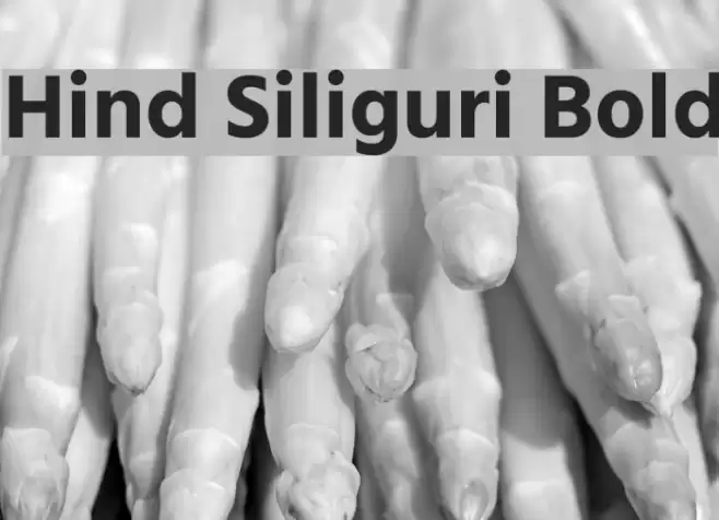 Hind Siliguri Bold Font examples