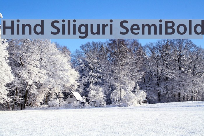 Hind Siliguri SemiBold Font examples