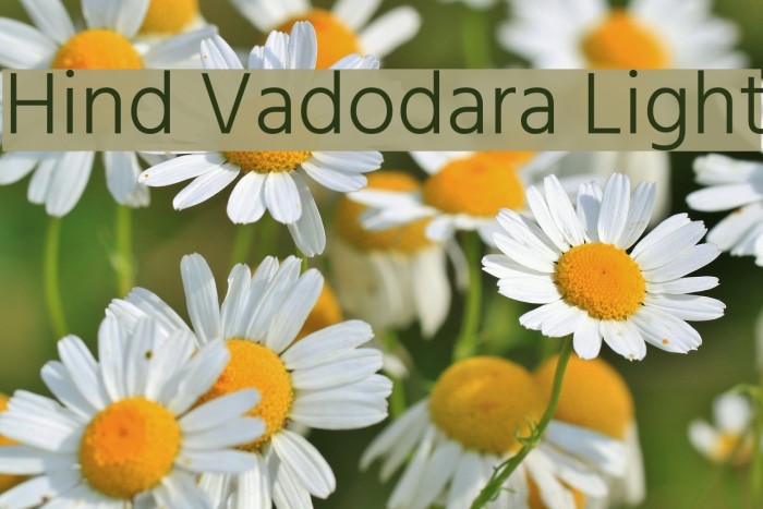 Hind Vadodara Light Font examples