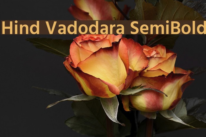 Hind Vadodara SemiBold Font examples