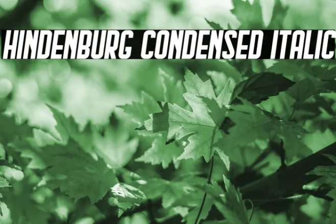Hindenburg Condensed Italic Example 1