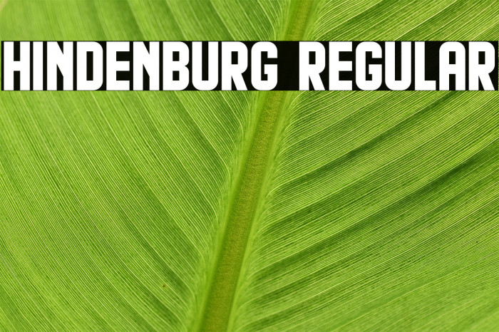 Hindenburg Regular Font examples