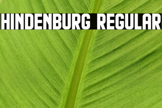 Hindenburg Regular Example 1