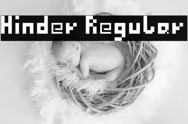 Hinder Regular Schriftart examples