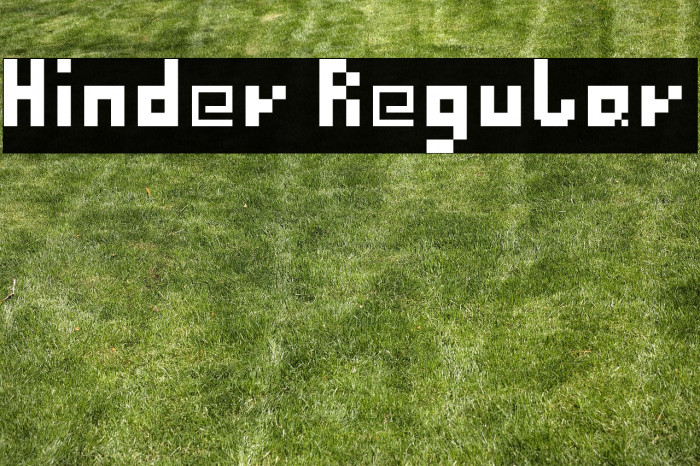 Hinder Regular Example 2