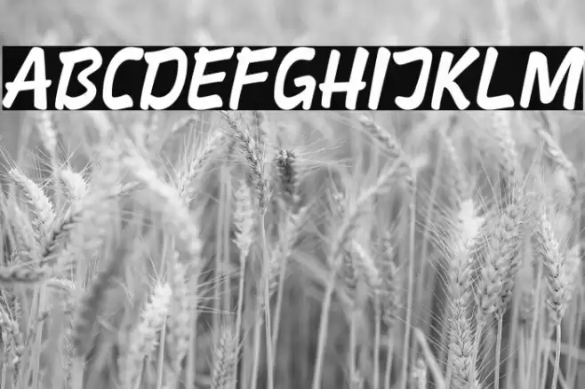 Hindia Font examples