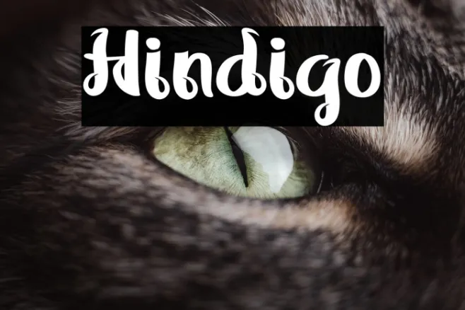 Hindigo Example 1