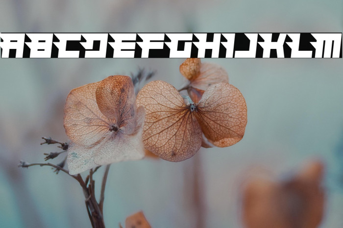 Hindsight 2020 Example 3