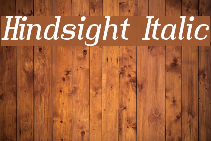 Hindsight Italic Font examples