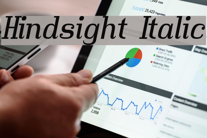 Hindsight Italic Font examples