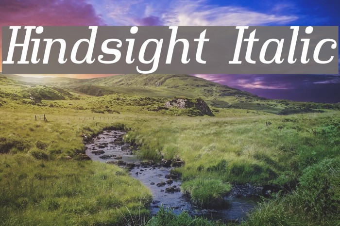 Hindsight Italic Font examples