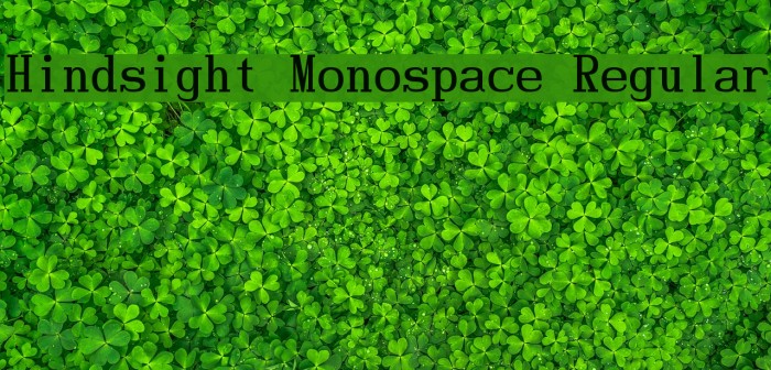 Hindsight Monospace Regular Font examples