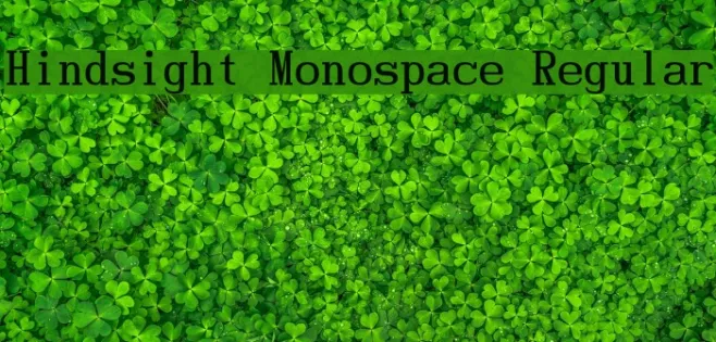 Hindsight Monospace Regular Example 3