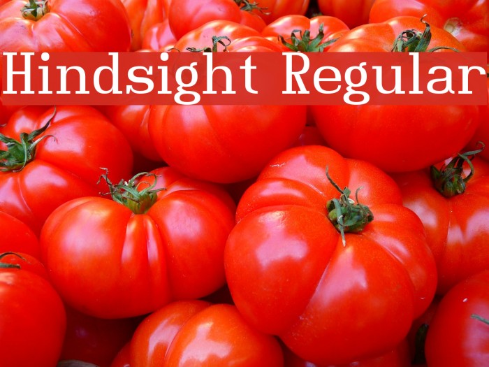 Hindsight Regular Font examples