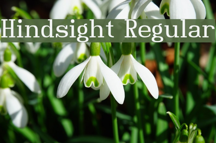 Hindsight Regular Font examples