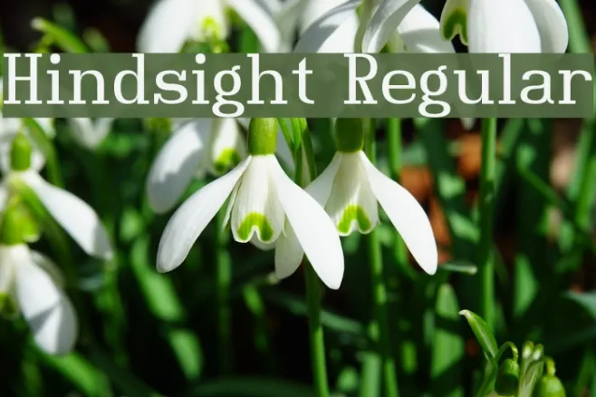 Hindsight Regular Example 2