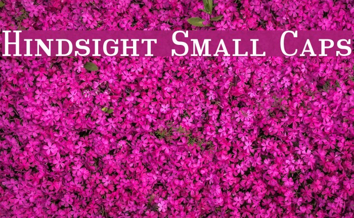 Hindsight Small Caps Font examples