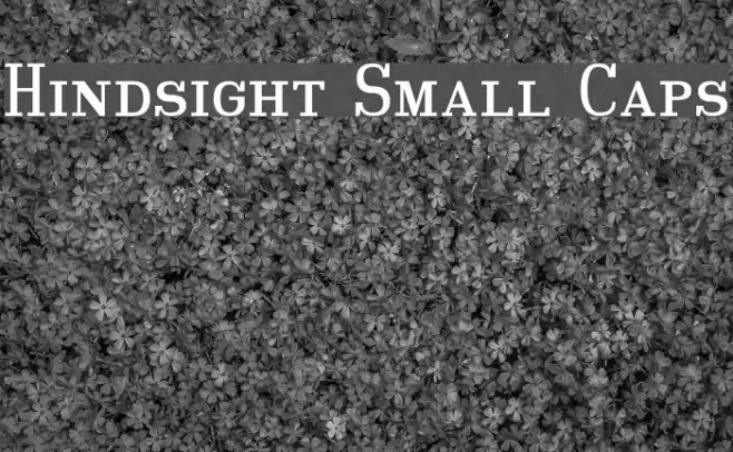 Hindsight Small Caps Polices examples