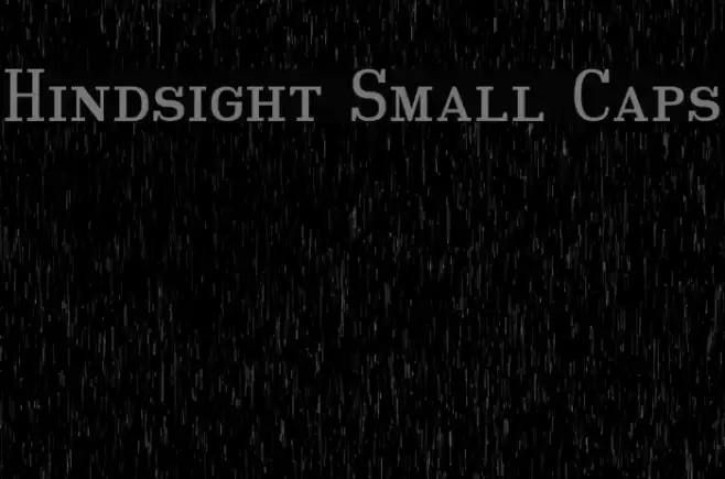 Hindsight Small Caps Polices examples