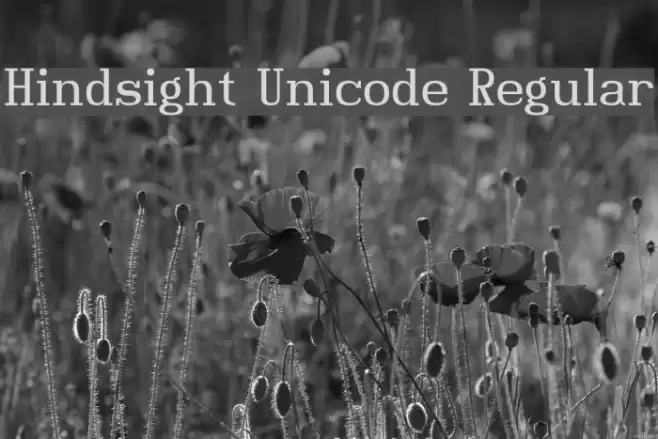 Hindsight Unicode Regular Font examples