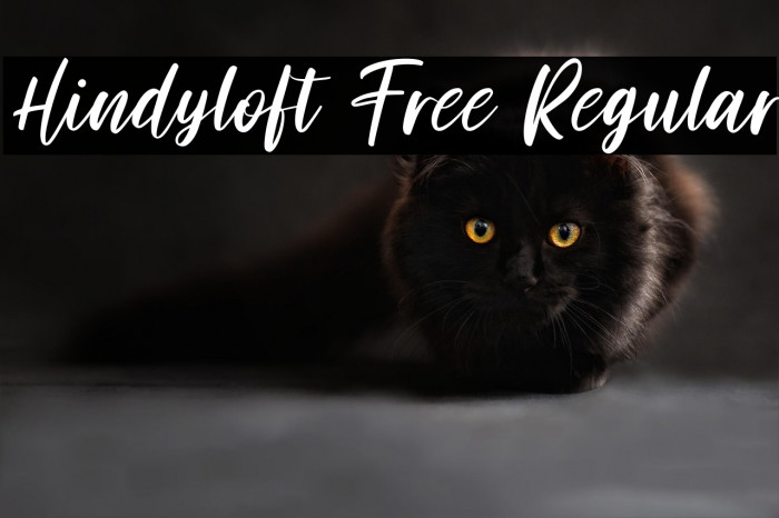 Hindyloft Free Regular Example 1