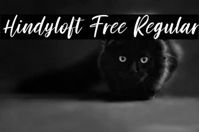 Hindyloft Free Regular Font examples
