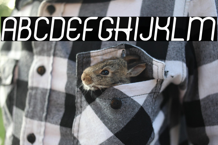 Hinge DEMO Semi Bold Italic Example 1