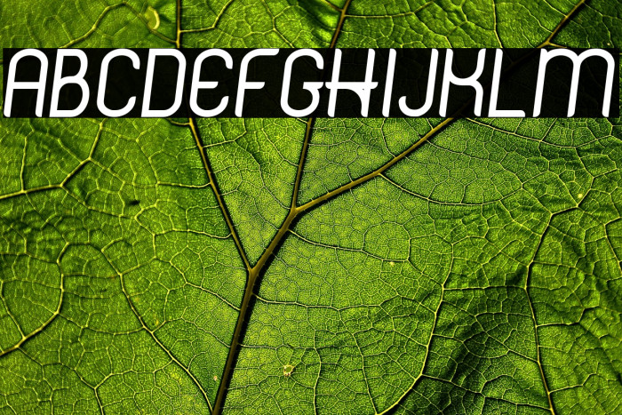 Hinge DEMO Semi Bold Italic Example 2