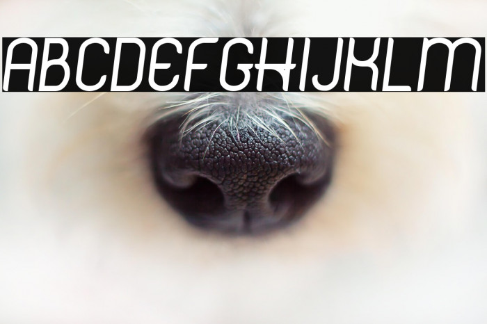 Hinge DEMO Semi Bold Italic Example 3