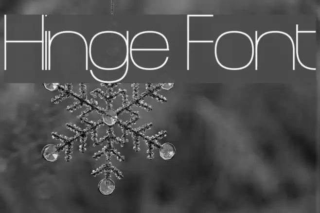 Hinge Font examples