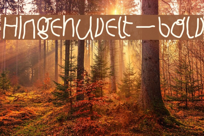 Hingehudelt-Bold Font examples