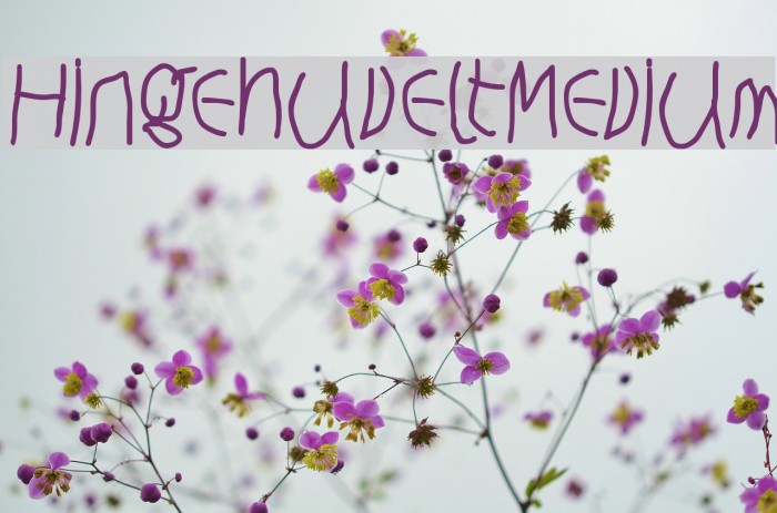 HingehudeltMedium Font examples