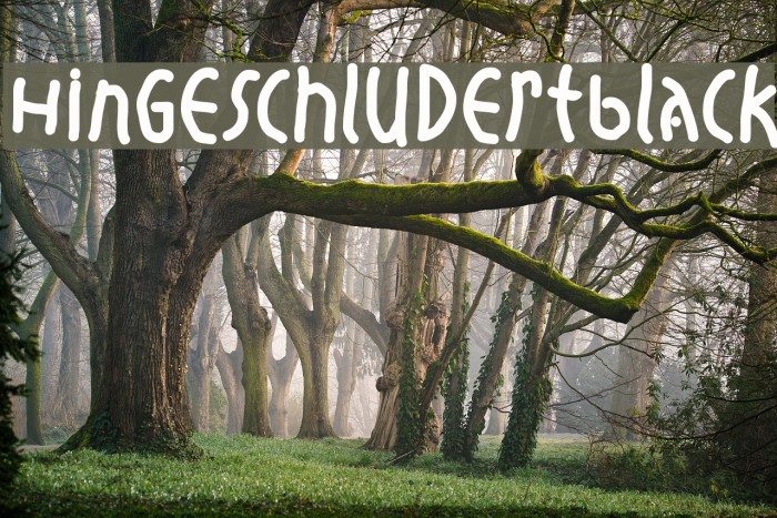 HingeschludertBlack Font examples