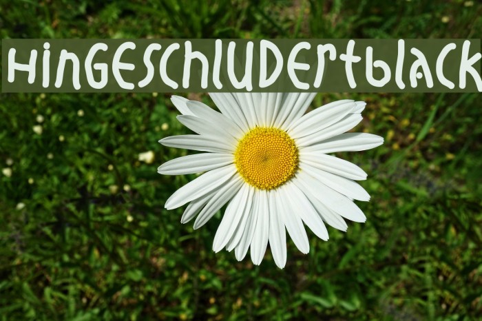 HingeschludertBlack Font examples