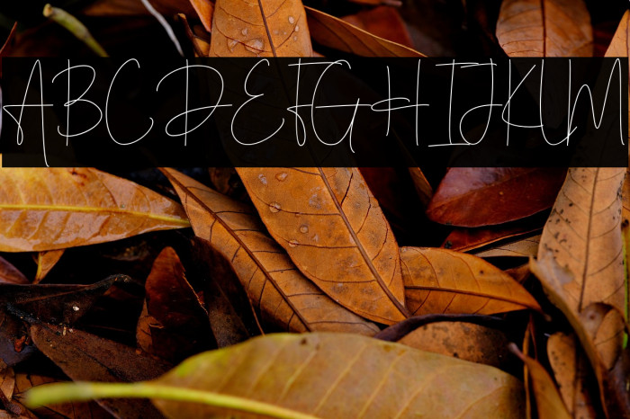 Hintterland Signature Example 1