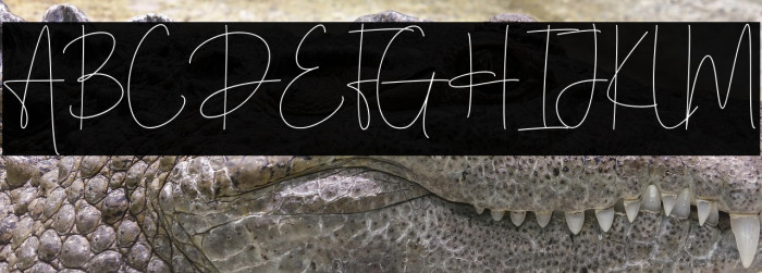 Hintterland Signature Example 3