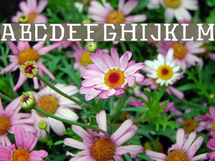 Hinwil Medium Example 1