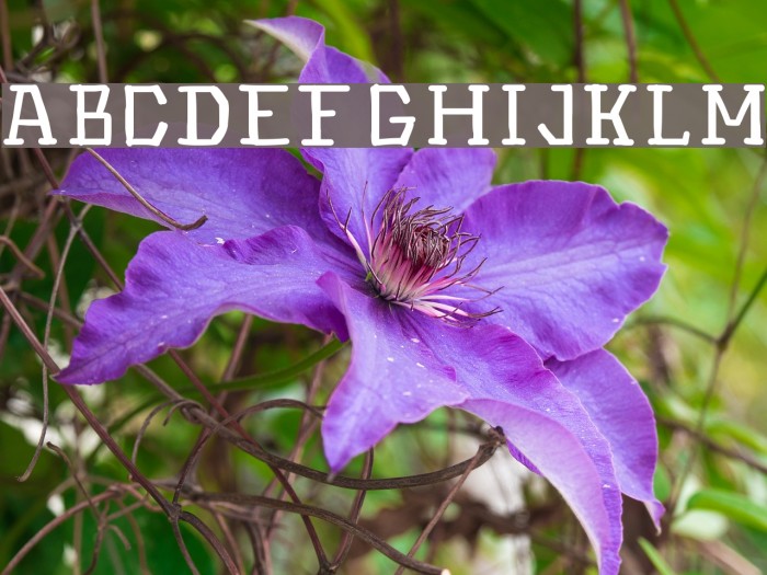 Hinwil Medium Example 2