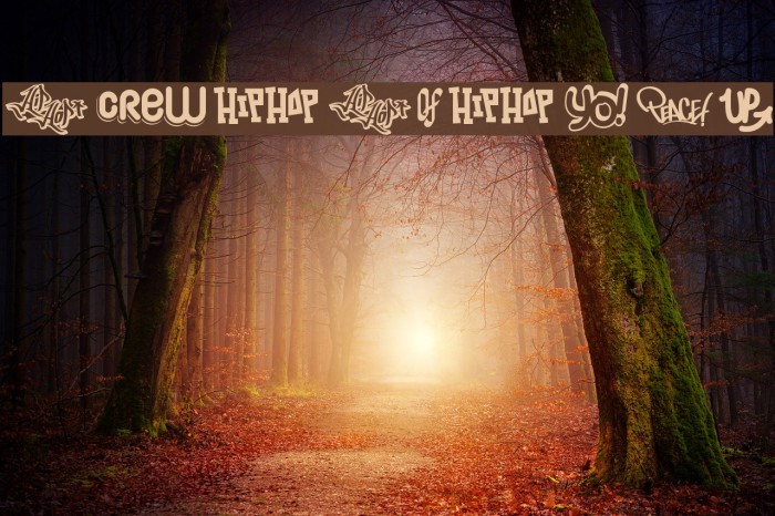 Hip Hop Lab1 Font examples