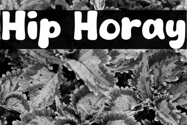 Hip Horay خط examples