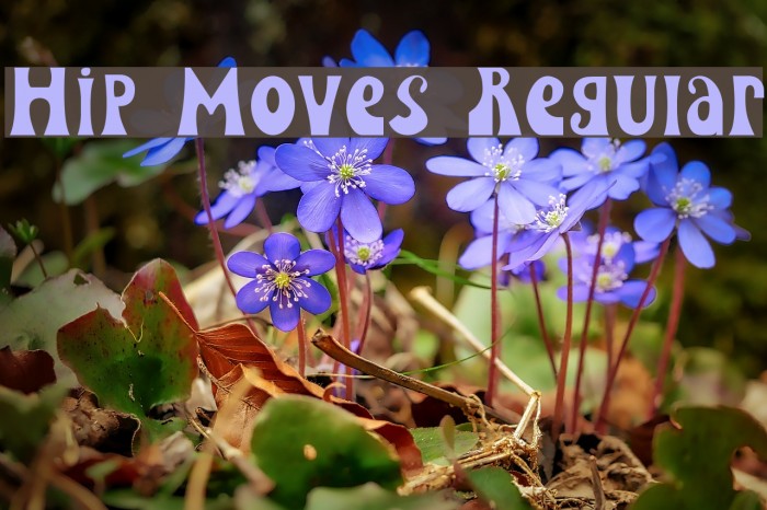 Hip Moves Regular Font examples