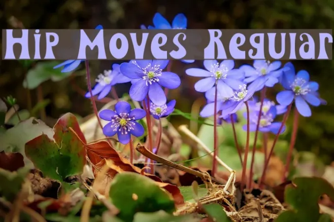 Hip Moves Regular Example 2