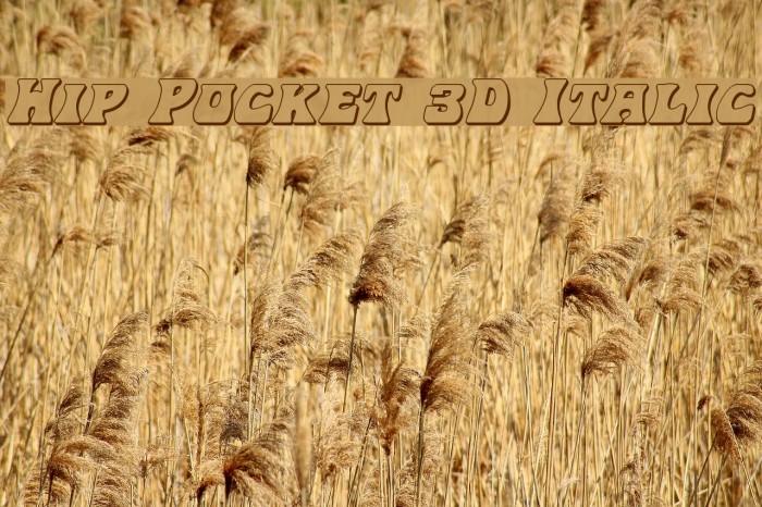 Hip Pocket 3D Italic Example 2