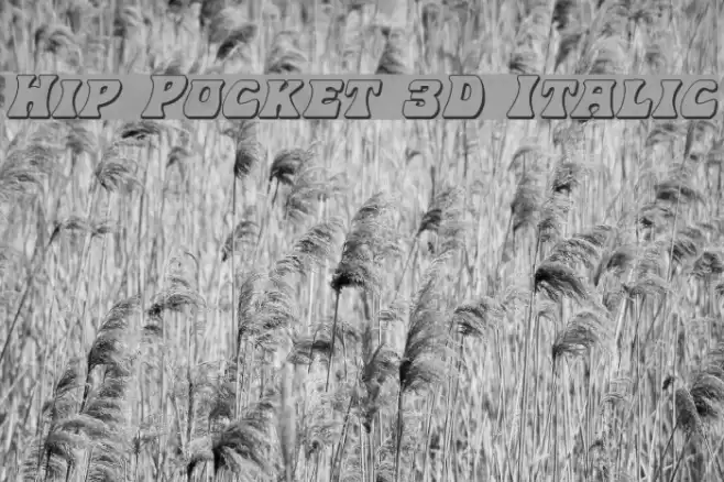 Hip Pocket 3D Italic Font examples