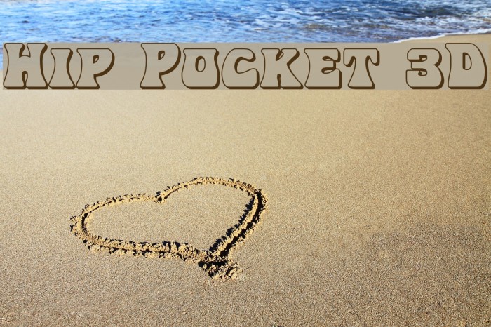 Hip Pocket 3D Example 3