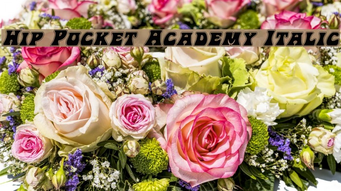 Hip Pocket Academy Italic Example 2