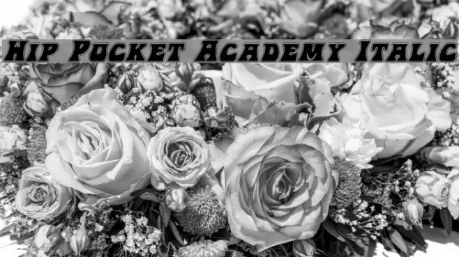 Hip Pocket Academy Italic Font examples