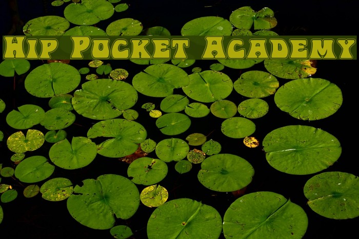 Hip Pocket Academy Font examples