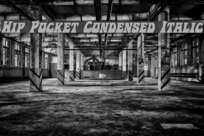 Hip Pocket Condensed Italic Font examples